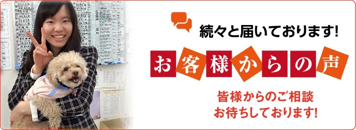 お客様の声メイン画像
